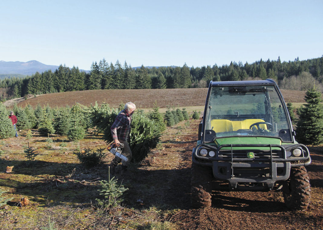 Bureaucratic booboo gives local tree farm unexpected publicity